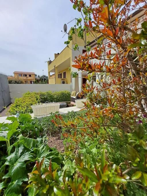 Nido D'amore Ad Appartement