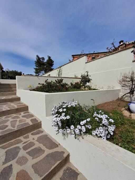 Nido D'amore Ad Appartement